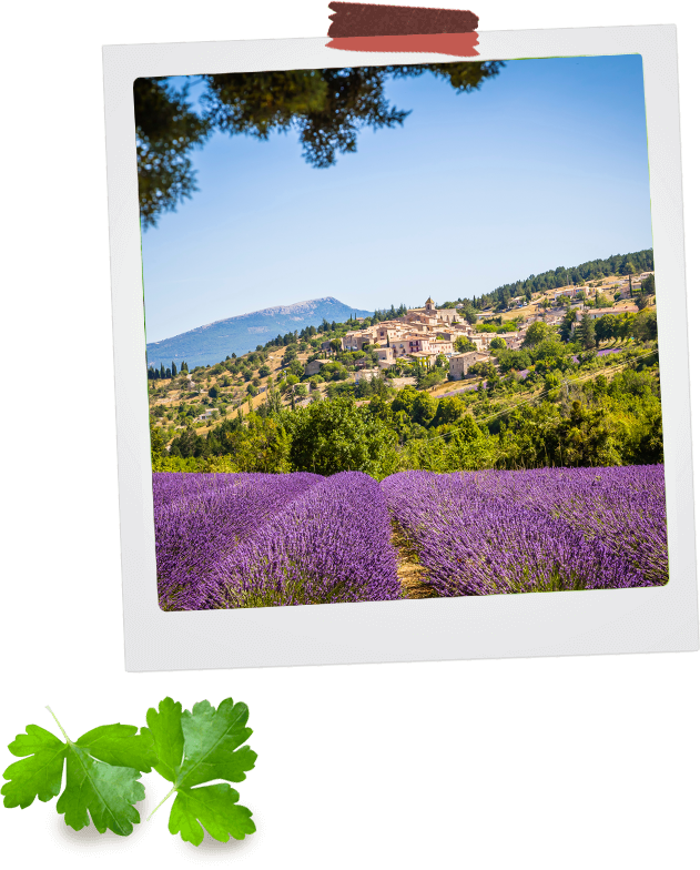 Provence Aroma One