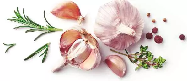 Fresh assorted tomatoes with basil leaves on white background