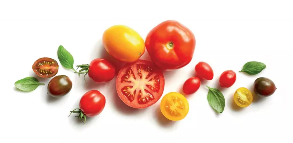 Fresh assorted tomatoes with basil leaves on white background